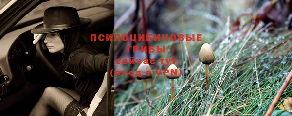 ПСИЛОЦИБИНОВЫЕ ГРИБЫ Шали