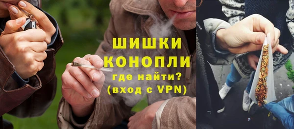 ПСИЛОЦИБИНОВЫЕ ГРИБЫ Шали
