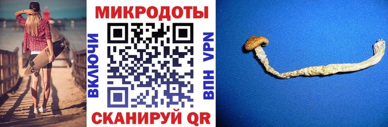 Псилоцибиновые грибы прущие грибы  Купить где  Верещагино 